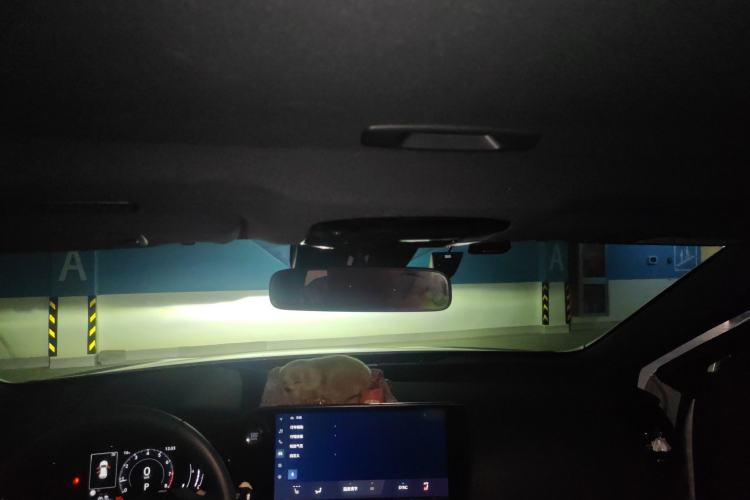 Used Lexus NX 2024 260 Front-Wheel Drive Chuan Yue Edition Headliner