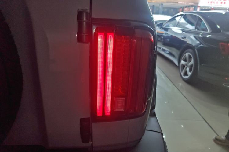 Used Tank 300 2024 2.0T Crosser