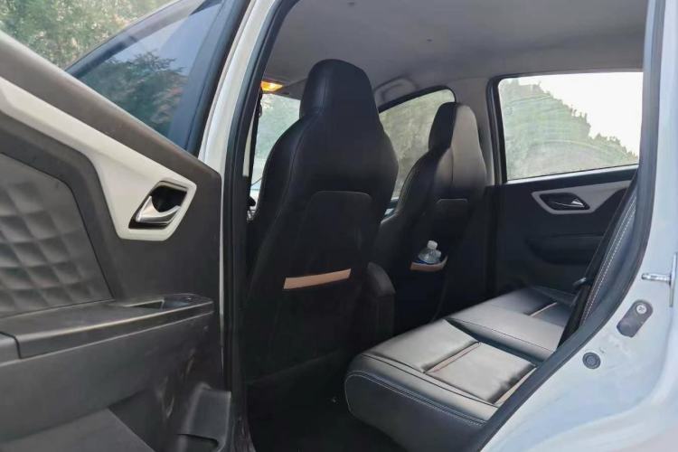 Used SOL E10X 2022 Flower Fairy Design Four-Leaf Clover