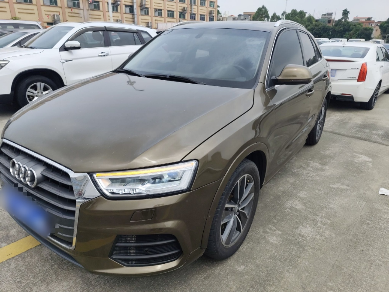 Parte inferior delantera