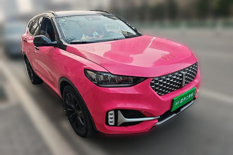 Used Wey VV6 2021 2.0T Two-Wheel Drive Smart Protection+