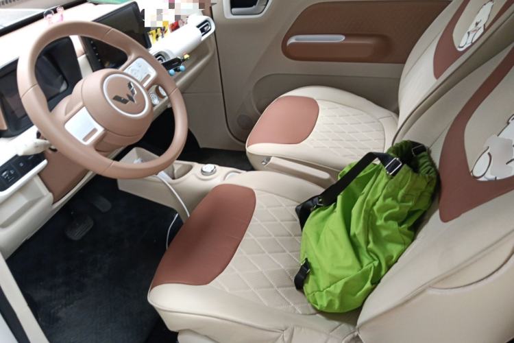 Used Wuling Hongguang MINIEV 2024 3rd Generation 215km Youth Edition Left Front Seat