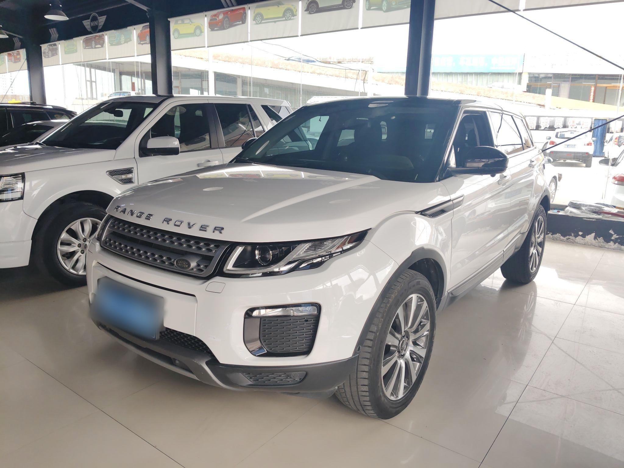 Parte inferior delantera