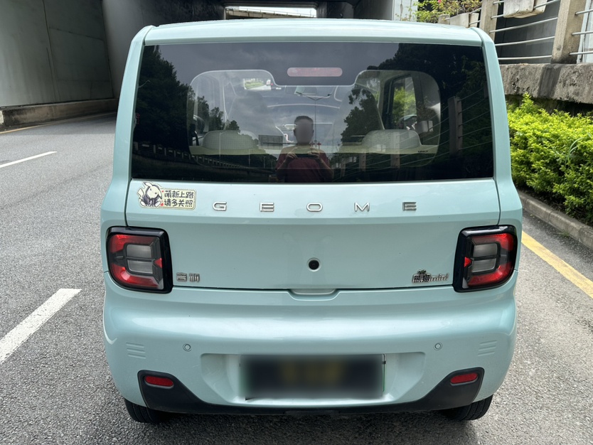 Geely Galaxy Panda 2023 Panda Mini 200km Endurance Bear — снимка 17