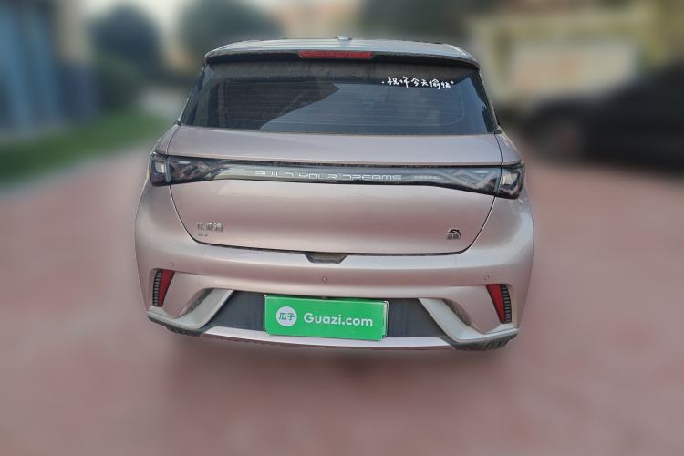 Used BYD Dolphin 2021 405 km Fashion Edition Rear