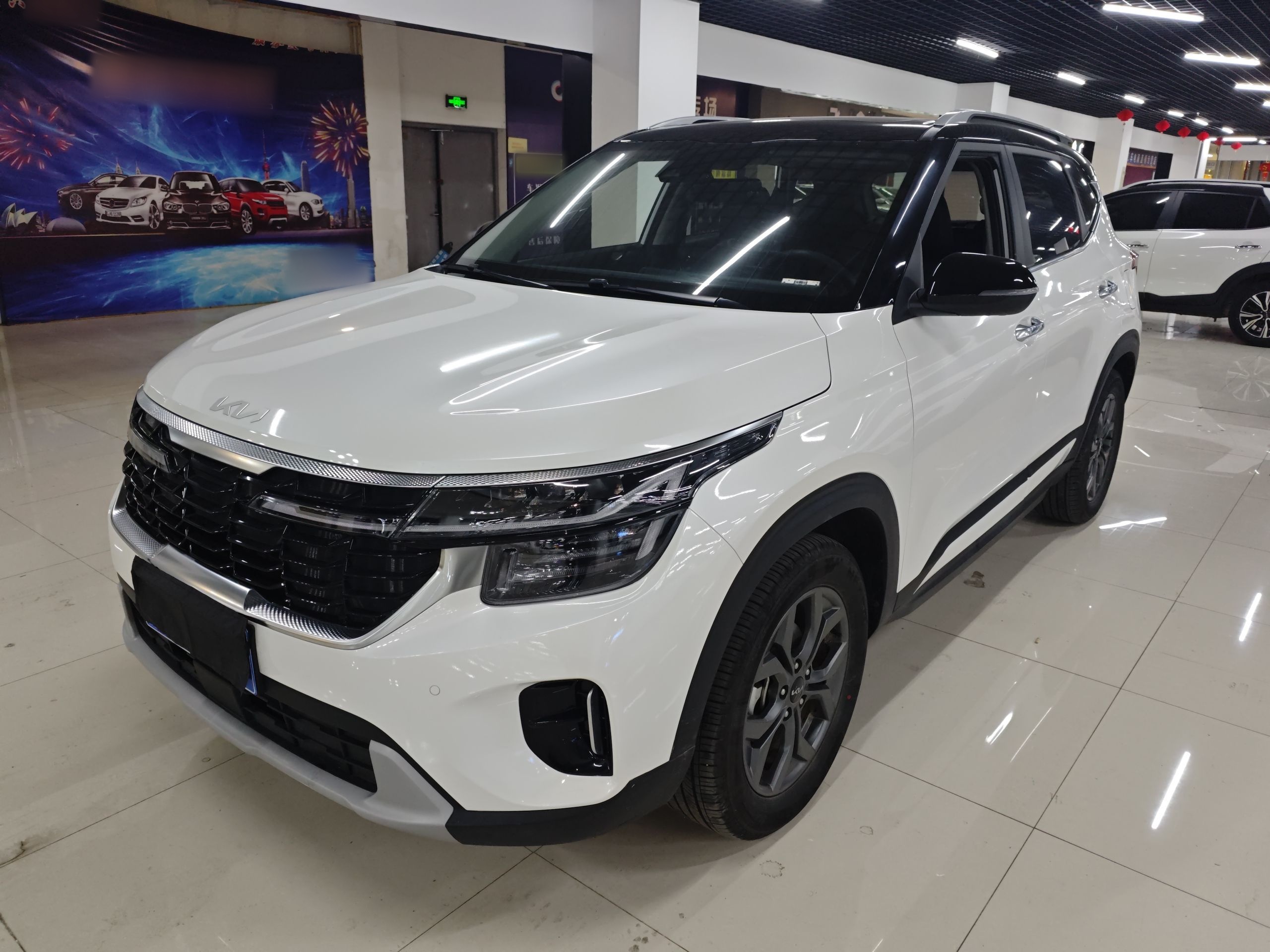 Parte inferior delantera