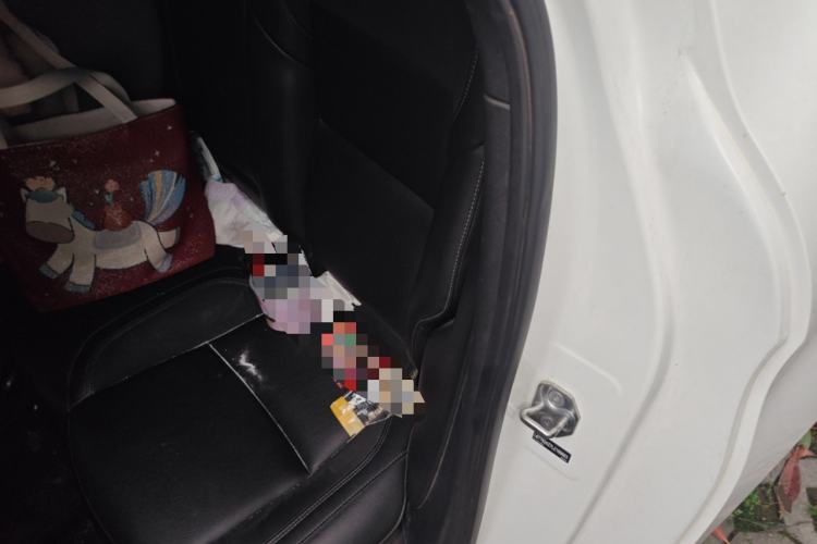 Used Lynk & Co 03 2021 1.5TD DCT JingPlus Left Rear Seat