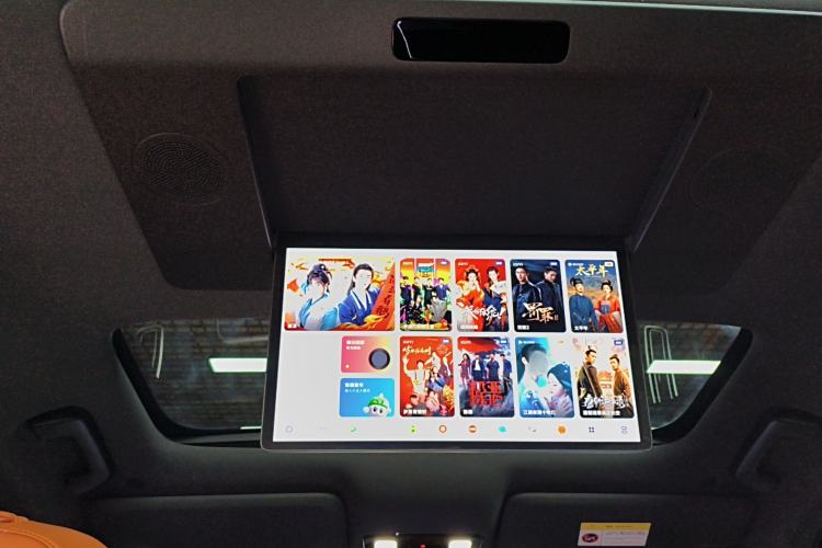 Used Li Auto L9 2022 Max model Headliner