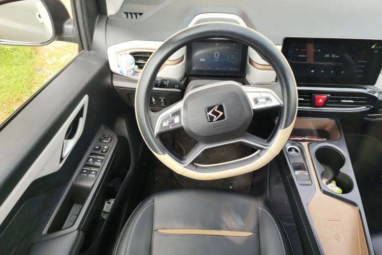 Used SOL E10X 2022 Flower Fairy Design Four-Leaf Clover Steering Wheel