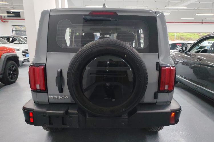 Used Tank 300 2024 2.0T Challenger