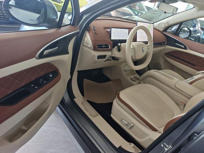 Used ORA Good Cat 2025 Model, 430 km Prestige Version — 15