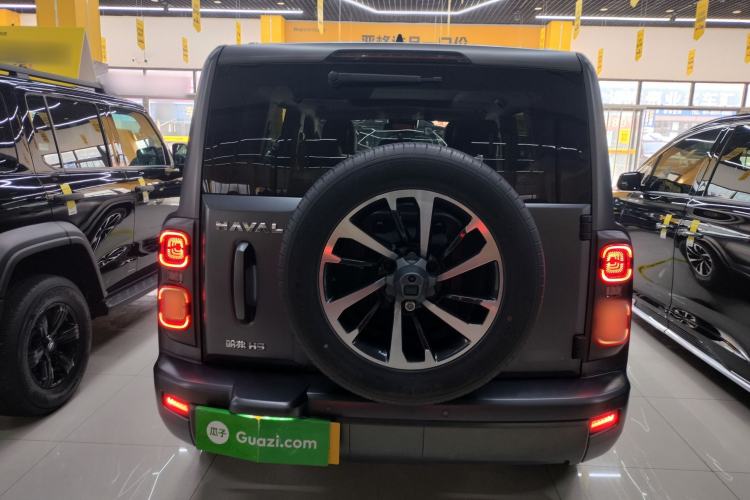 Used Haval H9 2024 2.0T Gasoline All-Wheel-Drive Extreme Edition
