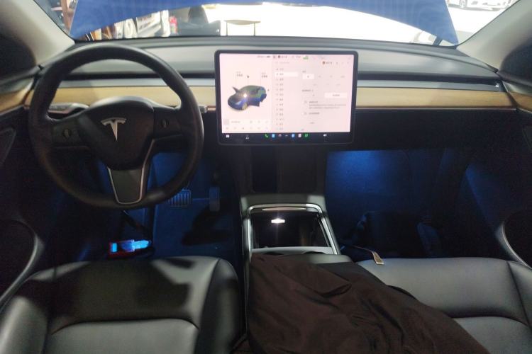 Used Tesla Model Y 2021 Long-Range All-Wheel-Drive Version