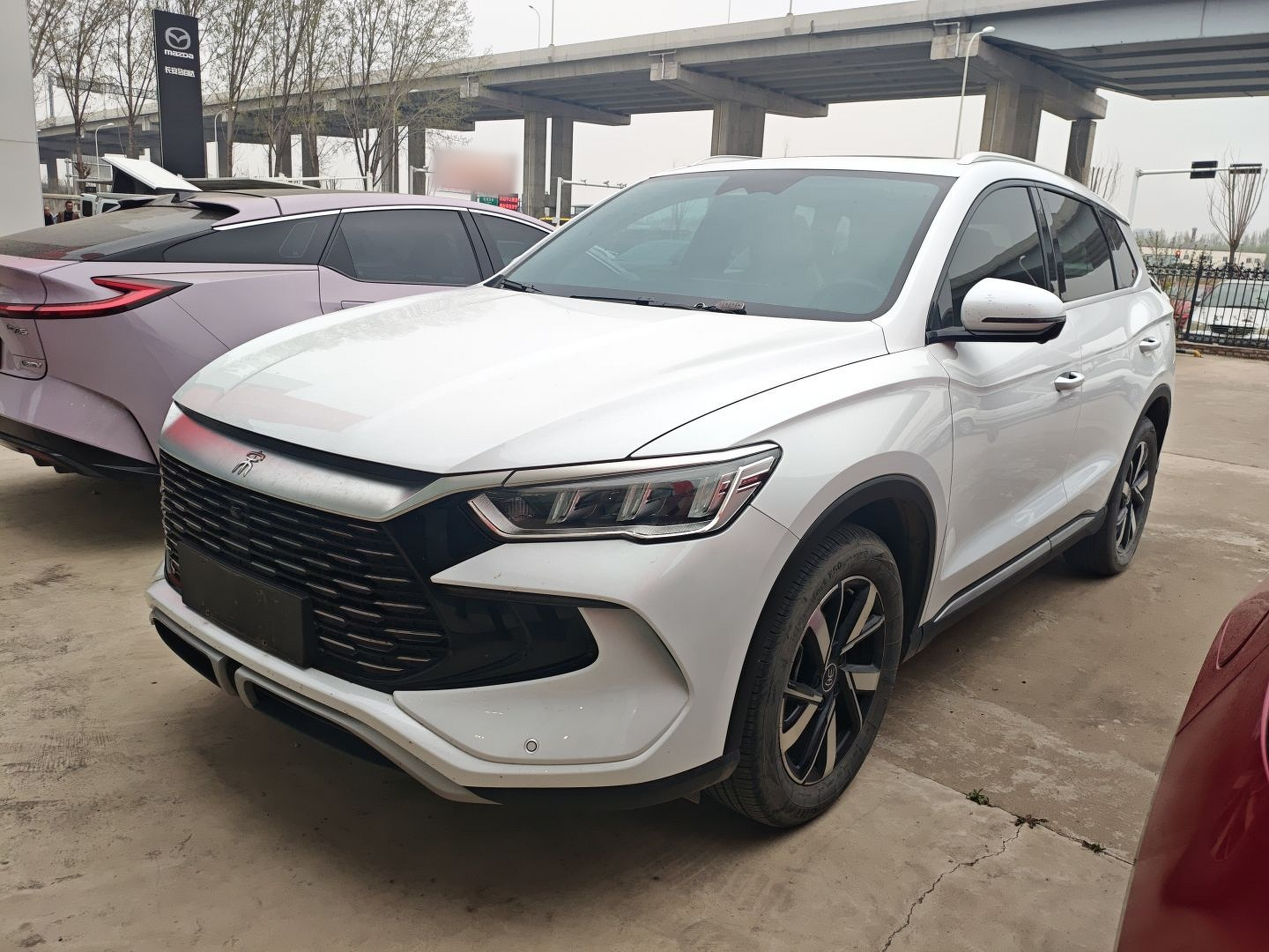 تحت مقدمة السيارة