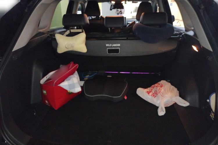 Used Toyota Wildlander 2020 2.0L CVT Two-Wheel Drive Luxury Edition