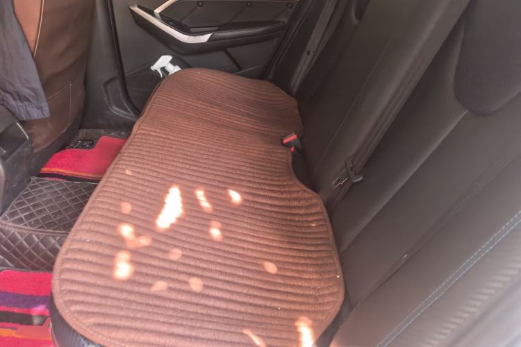 Used Venucia D60EV 2020 Standard Range Smart Drive Edition Left Rear Seat