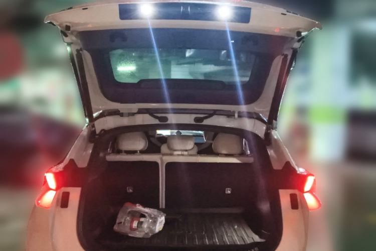 Used Lynk & Co Z20 2025 530 km Range Rear-Wheel Drive Max
