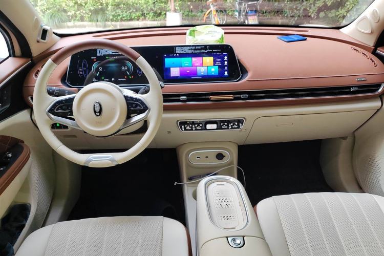 Used ORA Good Cat 2023 401 km Standard Range Prestige Version Lithium Iron Phosphate Center Console