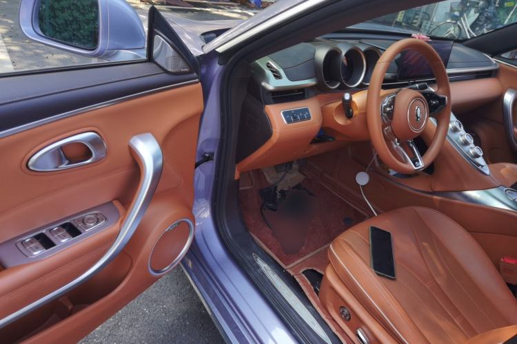 Used ORA Lightning Cat 2022 555 km Luxury Edition
