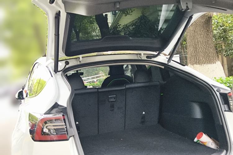 Used Tesla Model Y 2021 Standard Range Rear-Wheel Drive Version
