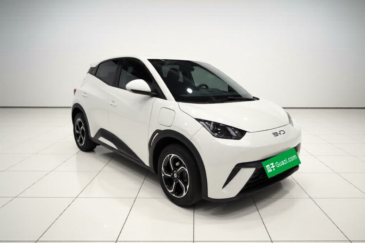 Used BYD Seagull 2024 Honor Edition 305km Dynamic Version Exterior 2