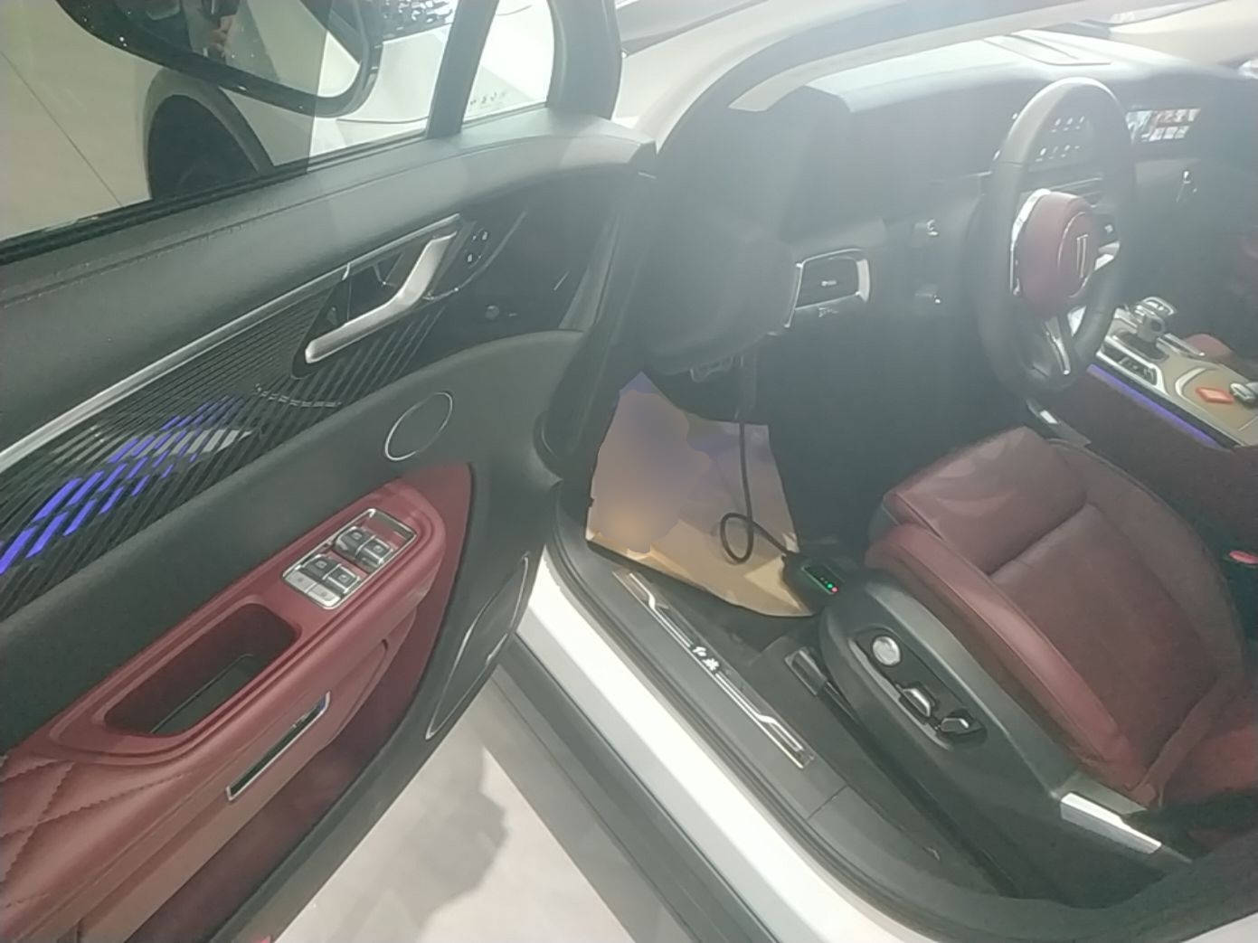 Hongqi E-HS9 2022 660 km Range Flagway Edition Six Seats — снимка 18
