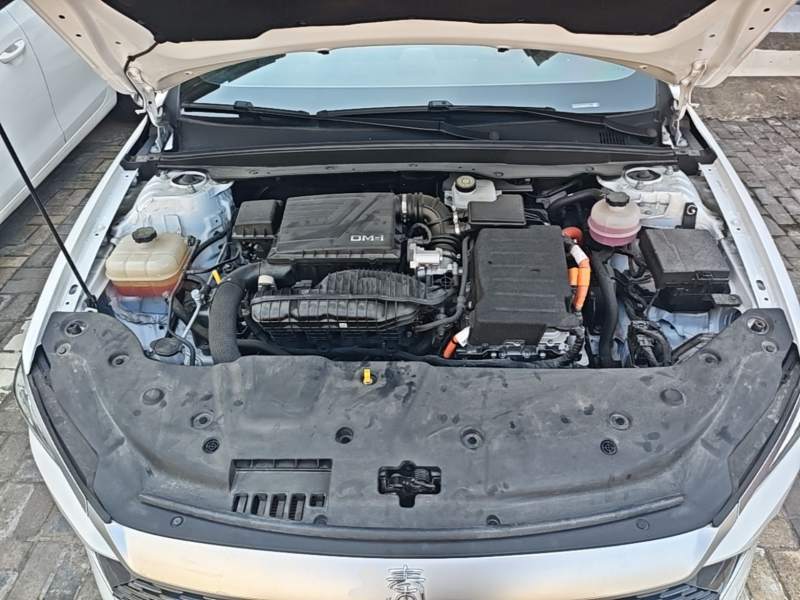 Used BYD Qin PLUS 2024 HONOR Edition DM-i 55KM Leading Model — 19