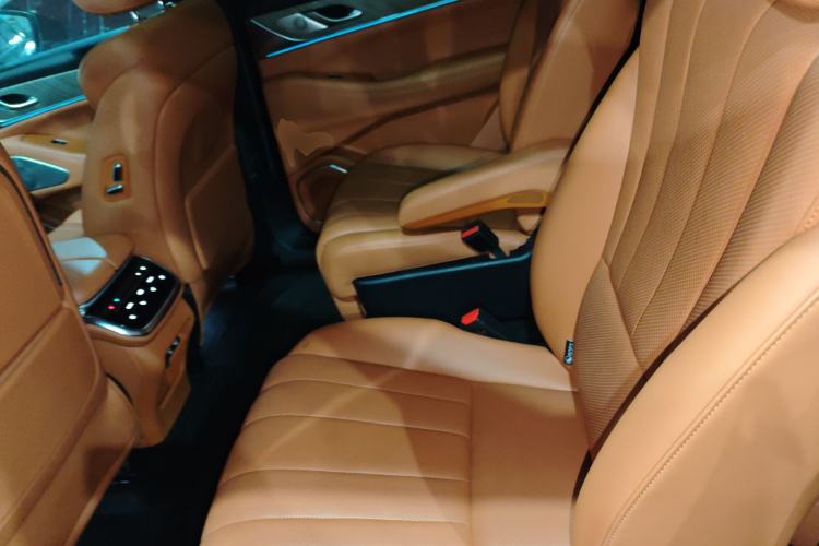 Used Wey Lanshan 2023 Four-Wheel Drive Ultra-Long Range Version Left Rear Seat