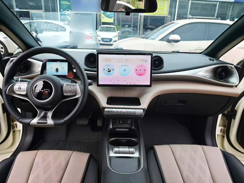 Used BYD Dolphin 2025 420km Free Edition — 12