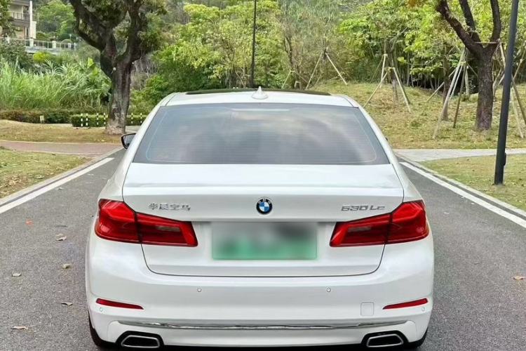 Used BMW 5 Series New Energy 2020 Mileage Upgrade Version 530Le Luxury Package Exterior 6