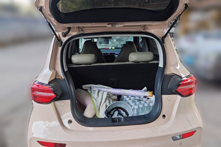 Used Leapmotor T03 2021 400 Micro-Sugar Version