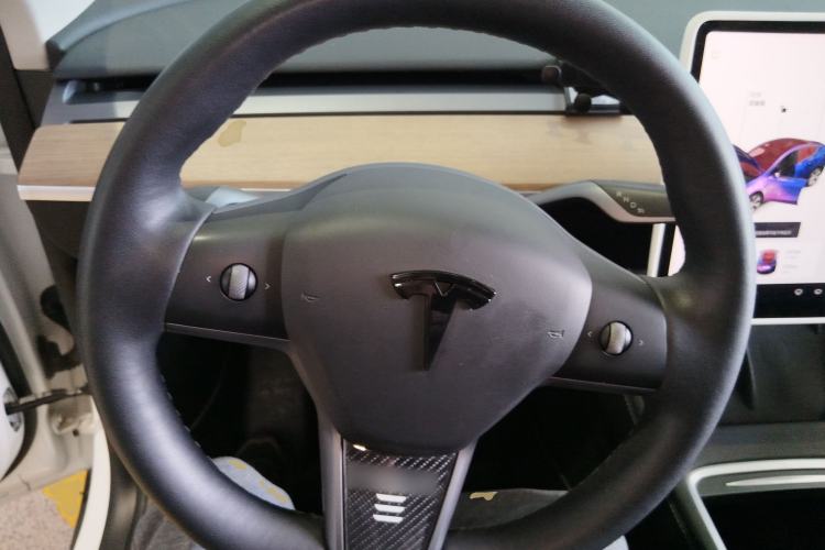 Used Tesla Model Y 2021 Standard Range Rear-Wheel Drive Version
