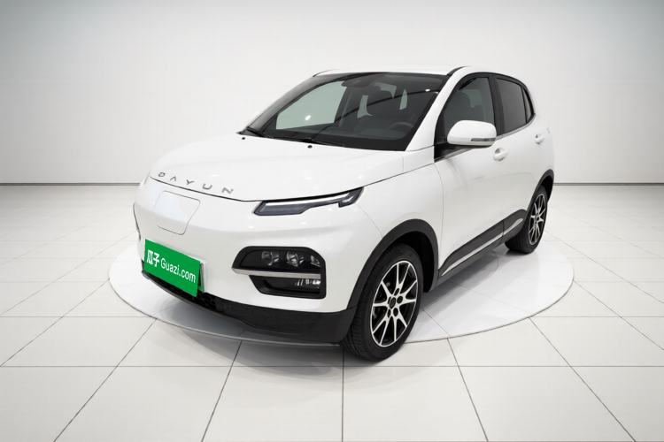 Used Dayun Yuehu 2021 32.85 kWh Two-Wheel-Drive Sprite Version