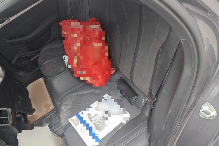 Used Geely Auto Preface 2025 Dongfang Yao 2.0TD Lanxing Edition Left Rear Seat