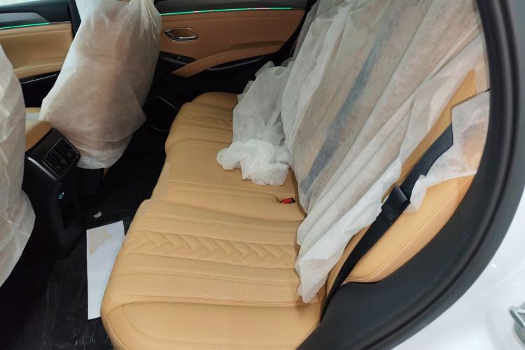 Used BYD Song L DM-i 2024 112 km Beyond Edition Left Rear Seat
