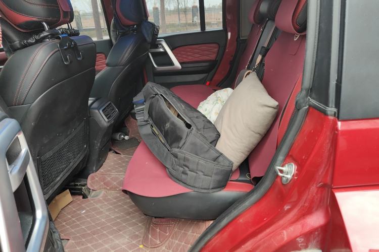 Used BAIC Off-Road BJ40 2020 2.0T Automatic Four-Wheel Drive Urban Hunter Edition Chivalrous Type Left Rear Seat