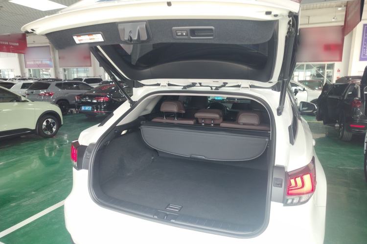 Used Lexus RX 2020 Facelifted 300 4x4 Elegant Edition