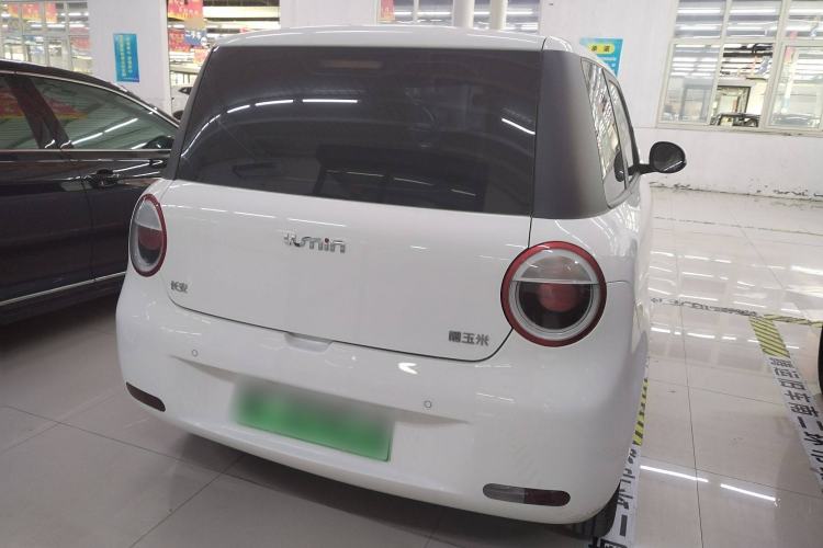 Used CHANGAN Lumin 2023 205km Xiangqin Version Exterior 4