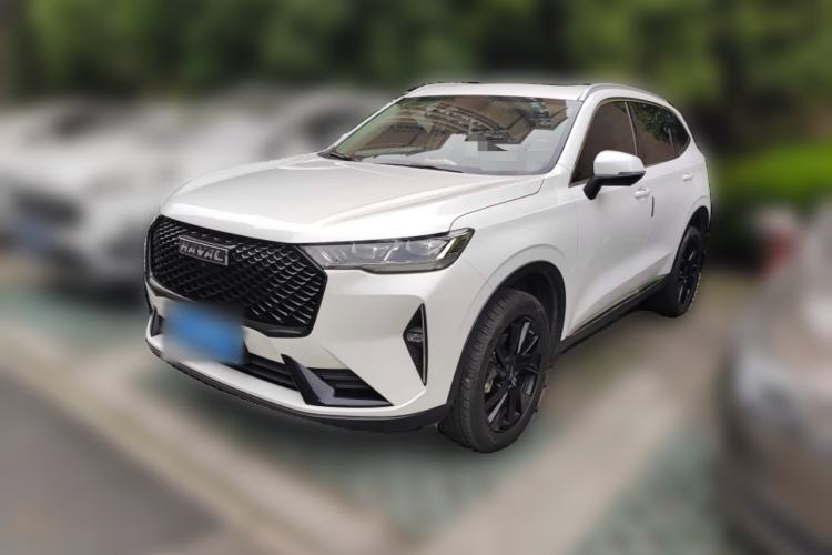 Used Haval H6 2021 3rd Generation 2.0T Automatic Two-Wheel Drive Max