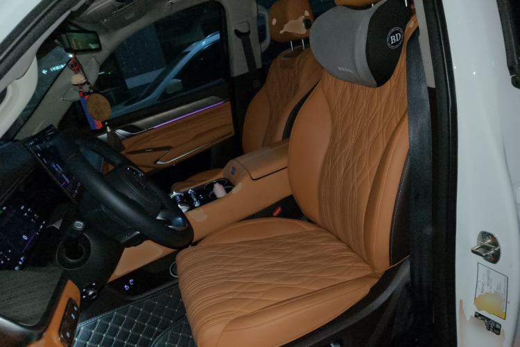 Used Tank 500 New Energy 2026 Model—Hi4-Z Smart Enjoyment Version Left Front Seat