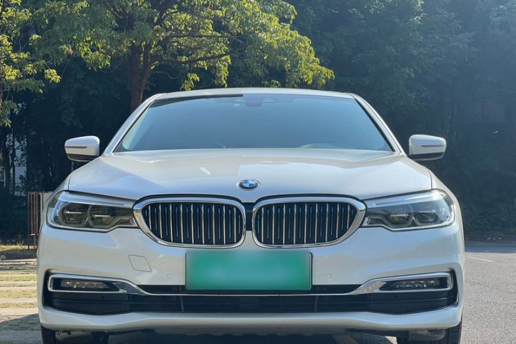 Used BMW 5 Series New Energy 2019 530Le Luxury Package