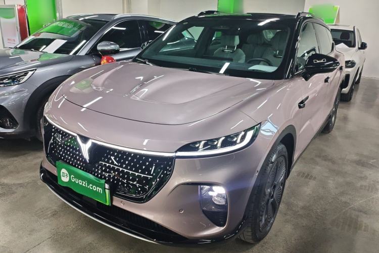 Used VOYAH COURAGE 2024 Four-Wheel Drive Global Edition