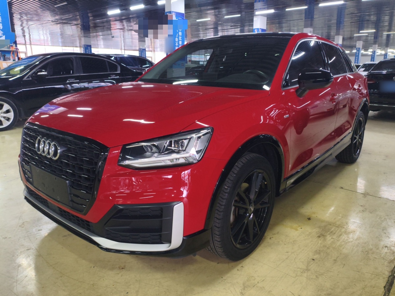 Parte inferior delantera