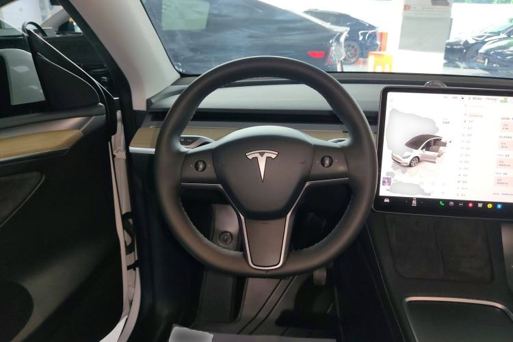 Used Tesla Model Y 2022 Revised Version Long-Range All-Wheel Drive