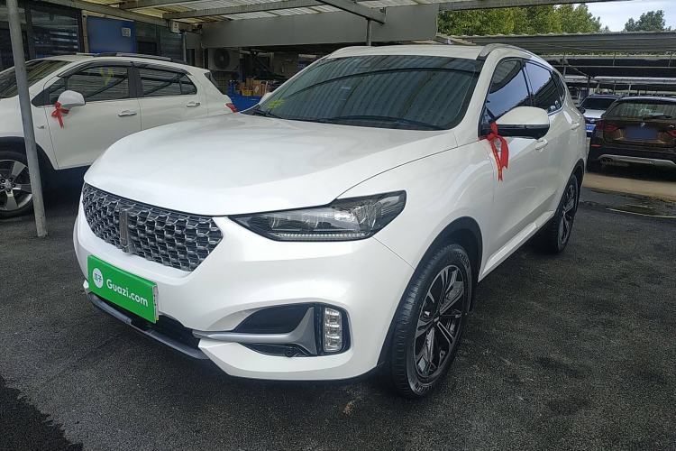 Used Wey VV6 2021 2.0T Two-Wheel Drive Smart Protection+