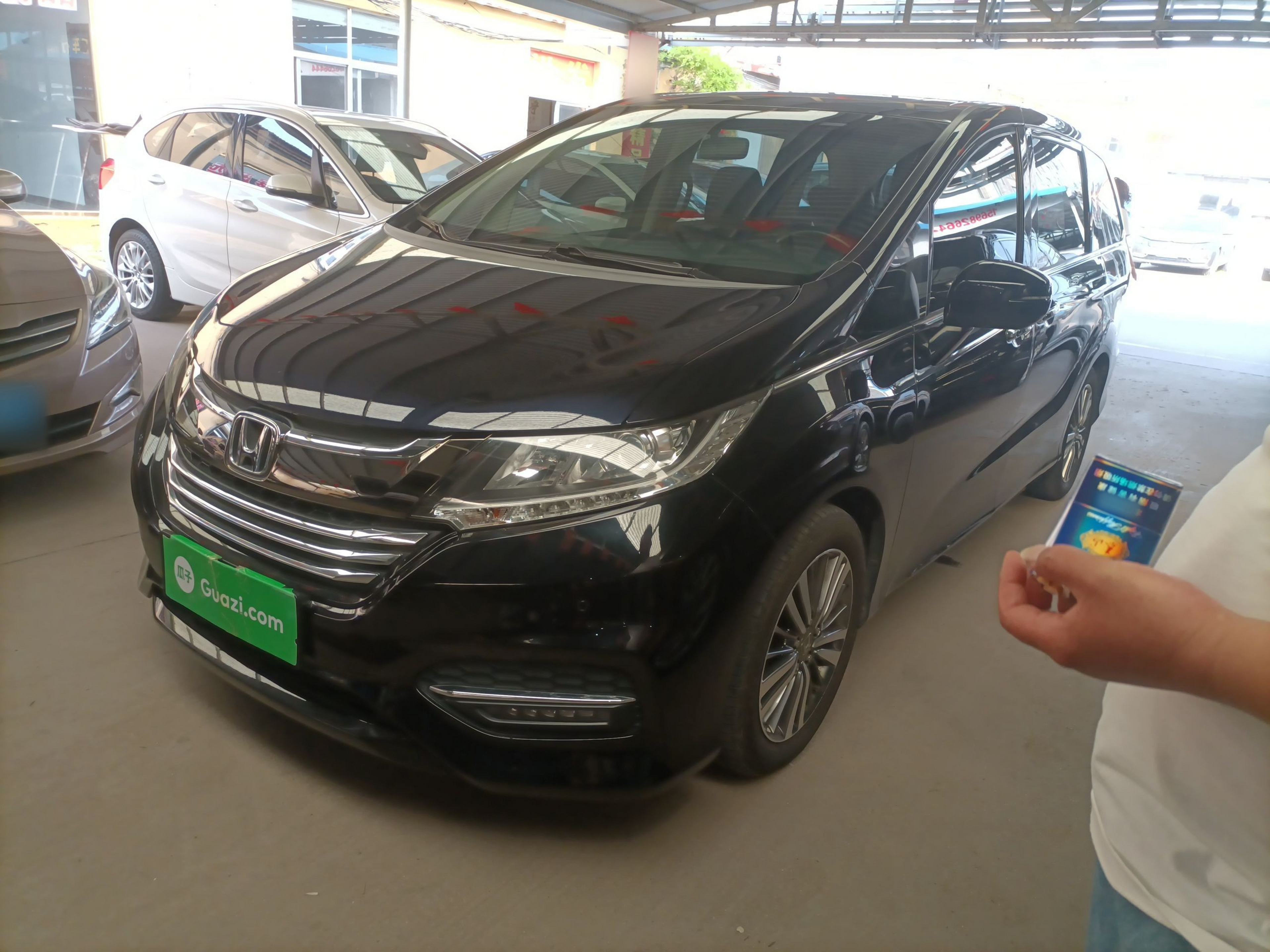 Parte inferior delantera