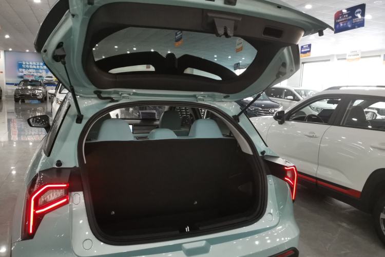 Used Geometry E Firefly 2024 401 km Fluorescent
