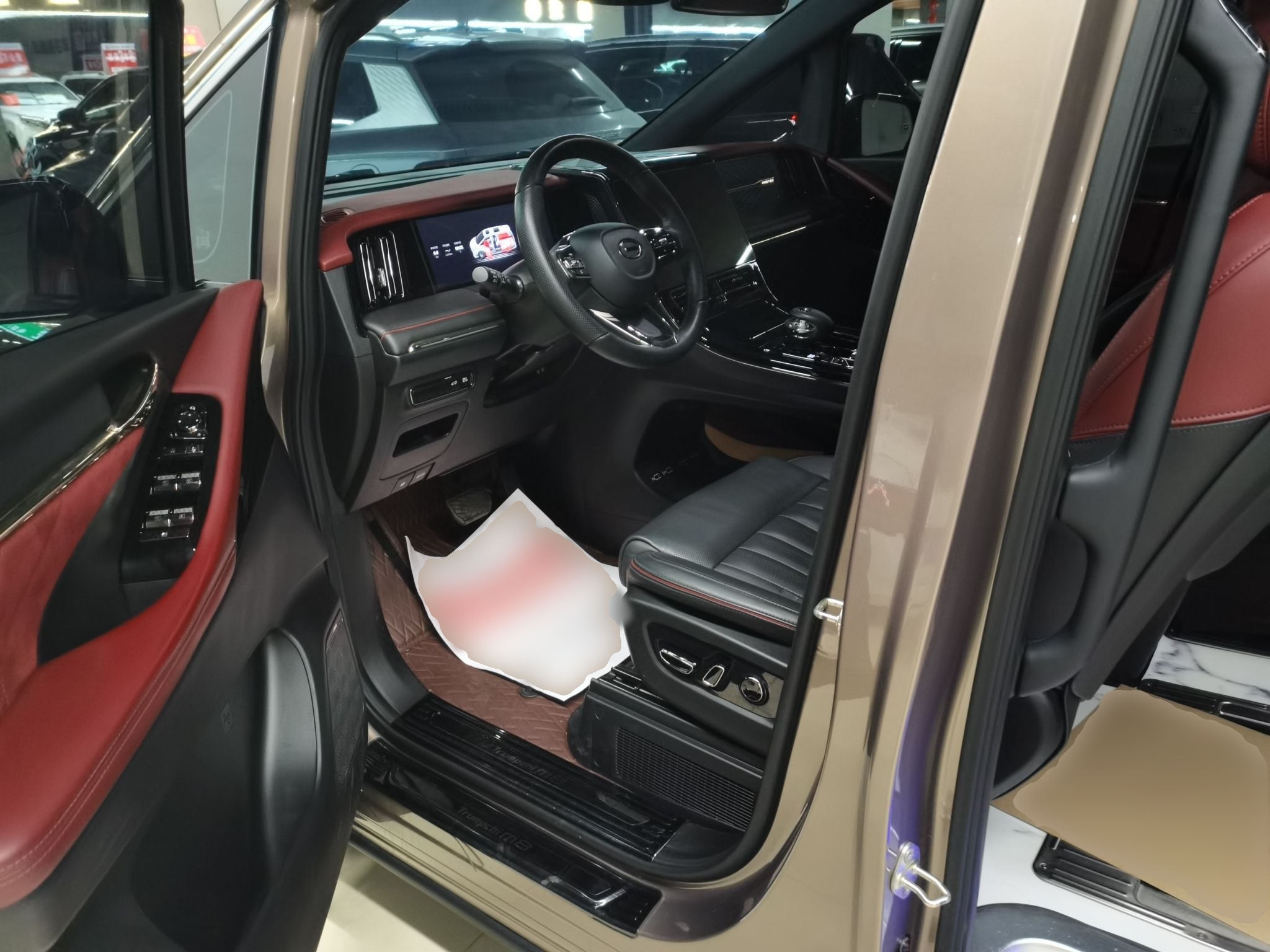 Interior delantero