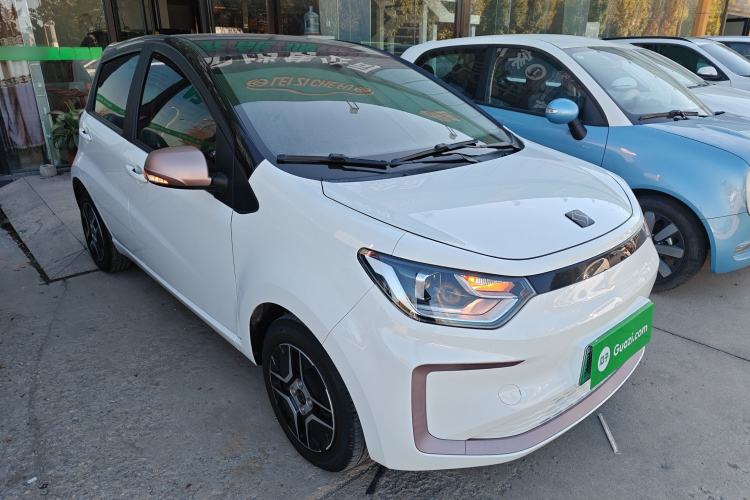 Used SOL E10X 2022 Flower Fairy Design Four-Leaf Clover