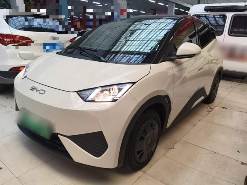 Used BYD Seagull 2025 305km Active Version — 1